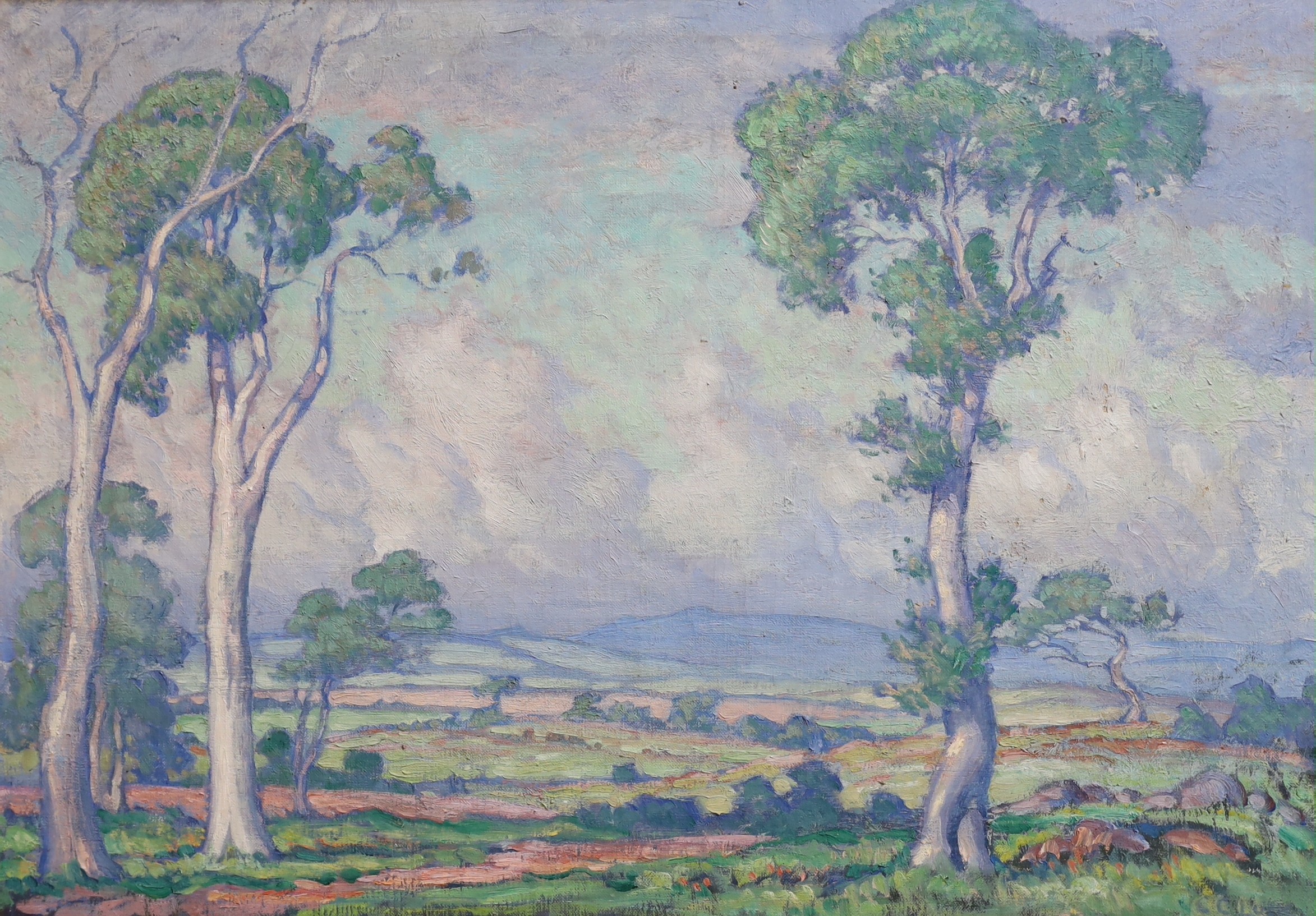 CCL , Open landscape with trees to the foreground, possibly Australia with eucalyptus trees, oil on canvas, 45 x 64cm
